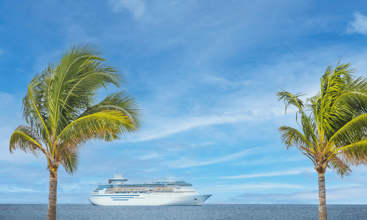 Kreuzfahrtschiff auf blauem Meer, umrahmt von zwei Palmen vor einem leicht bewölkten Himmel.